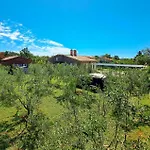 Pet Friendly In With Kitchen * Pula
