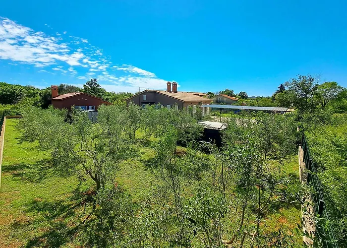 Pet Friendly In With Kitchen * 풀라