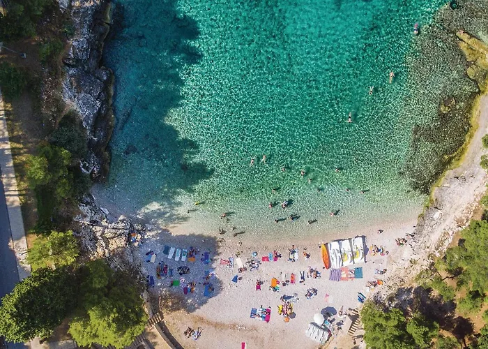 Pet Friendly In With Kitchen * Πούλα